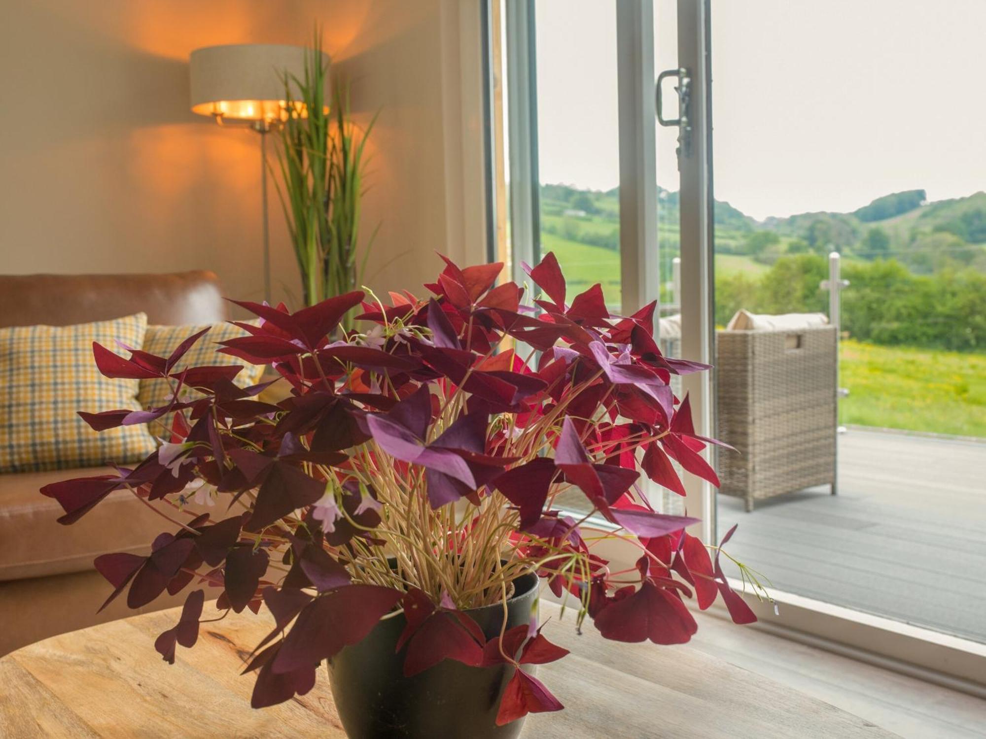 Barn Owl Lodge-Qu7487 Highgate  Bagian luar foto